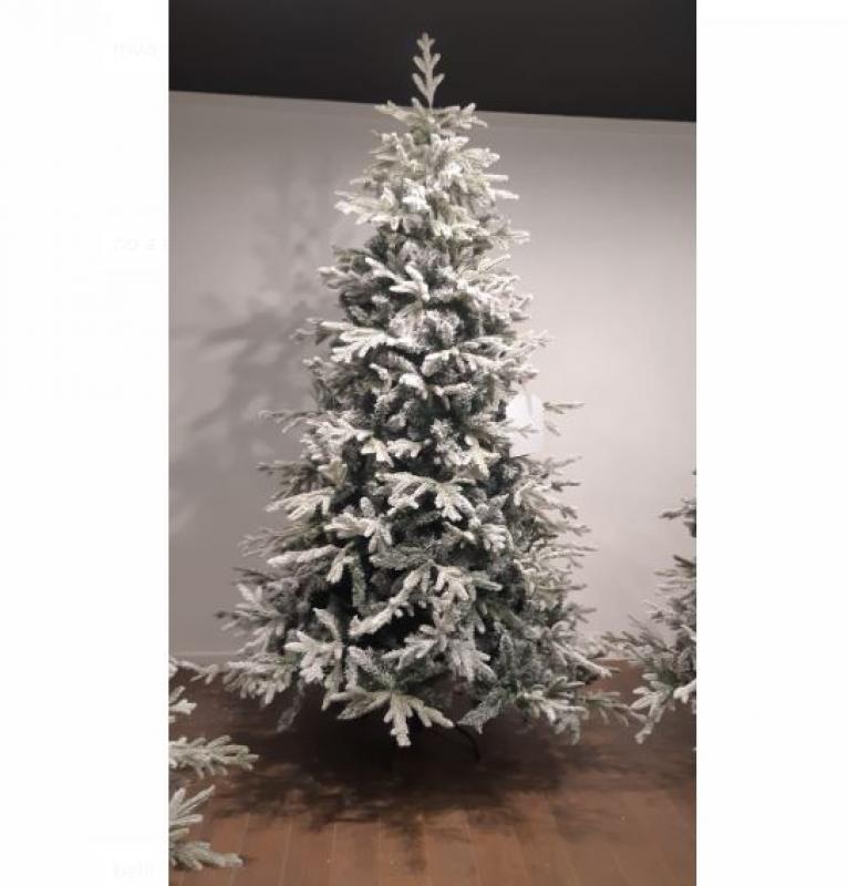 Albero abete bianco cm 210x100 b48