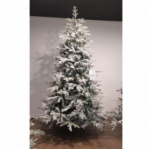 Albero abete bianco cm 210x100 b48